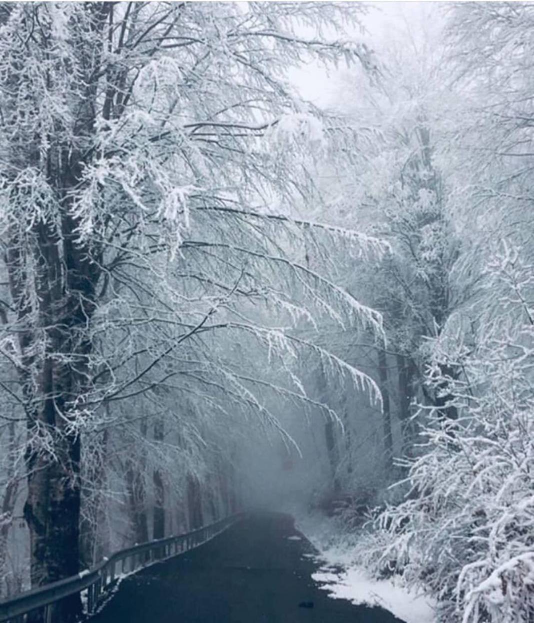 Yeşilhisar Kayadibi Köyü Resimleri 10