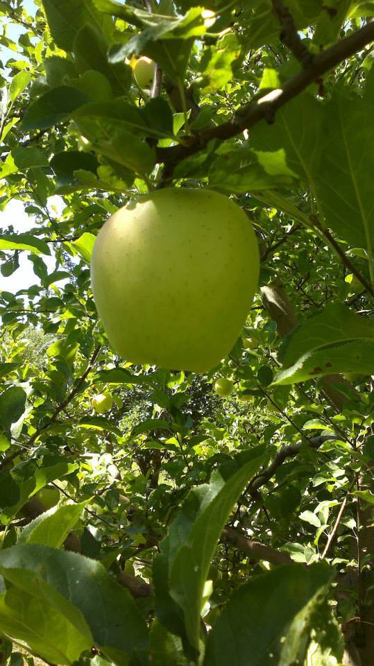 Yeşilhisar Kayadibi Köyü Resimleri 5