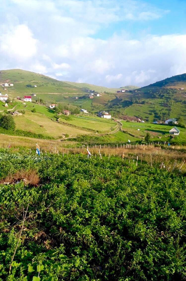 Yeşilhisar Kayadibi Köyü Resimleri 9