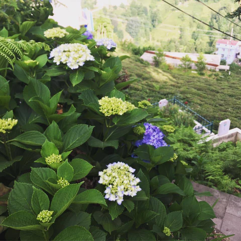 Yeşilhisar Keler Köyü Resimleri 2