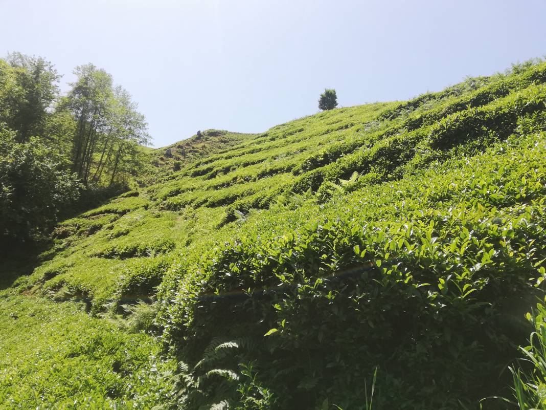 Yeşilhisar Keler Köyü Resimleri 7