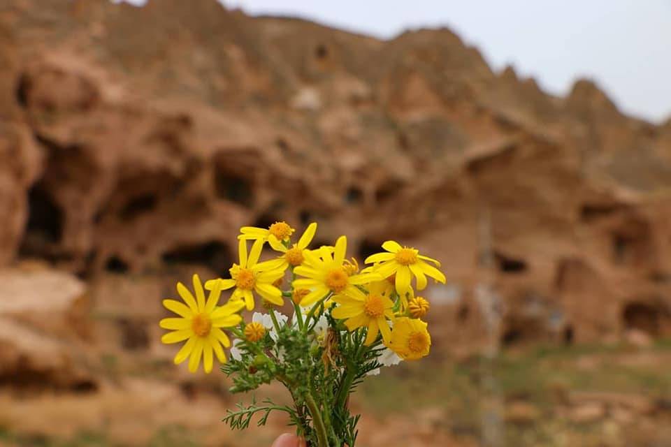 Yeşilhisar Keşlik Köyü Resimleri 5