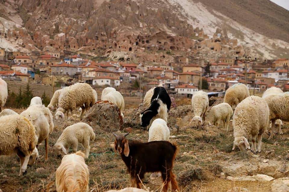 Yeşilhisar Keşlik Köyü Resimleri 6