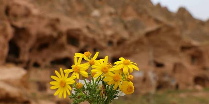 Yeşilhisar Keşlik Köyü Resimleri