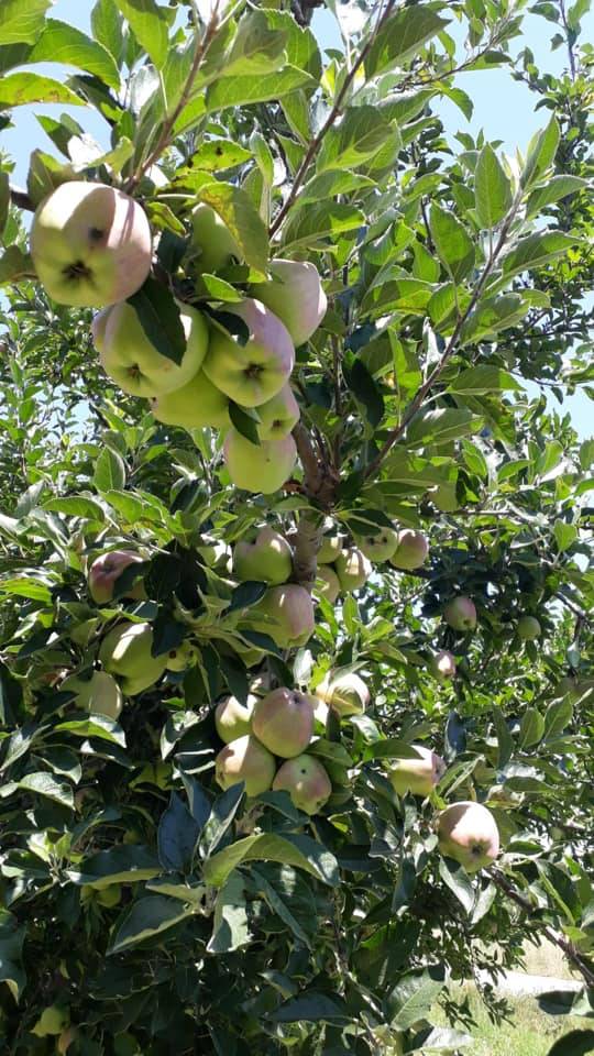 Yeşilhisar Kovalı Köyü   Resimleri 1