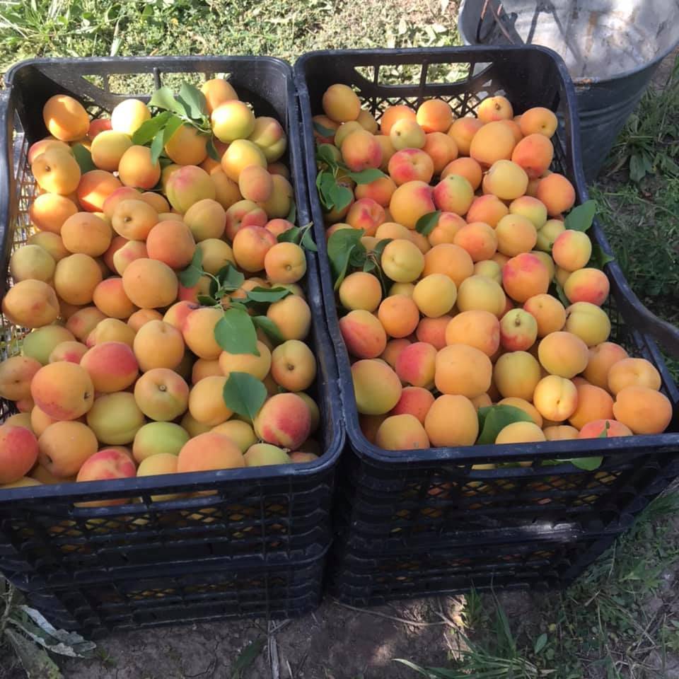 Yeşilhisar Kovalı Köyü   Resimleri 2