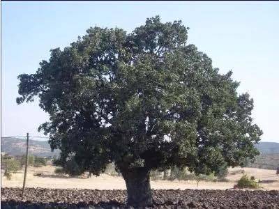 Yeşilhisar Kuzey Köyü  Resimleri 4