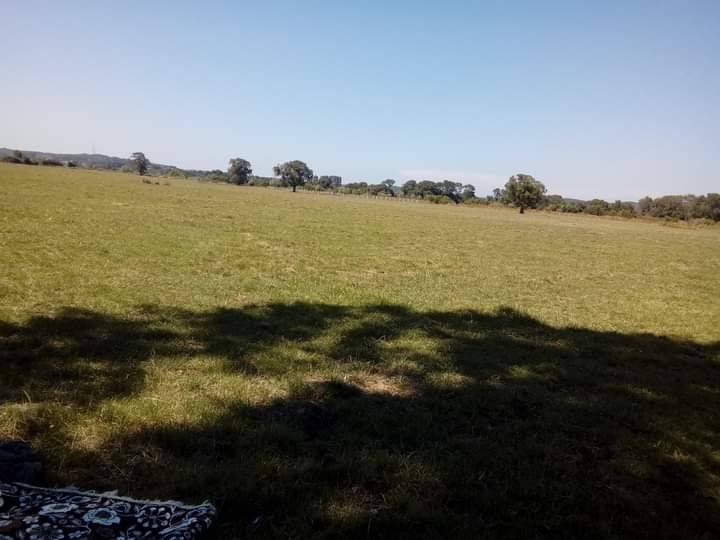 Çatalca Belgrat Köyü Resimleri 10