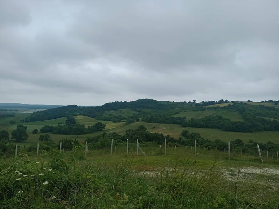 Çatalca Celepköy Köyü Resimleri 1