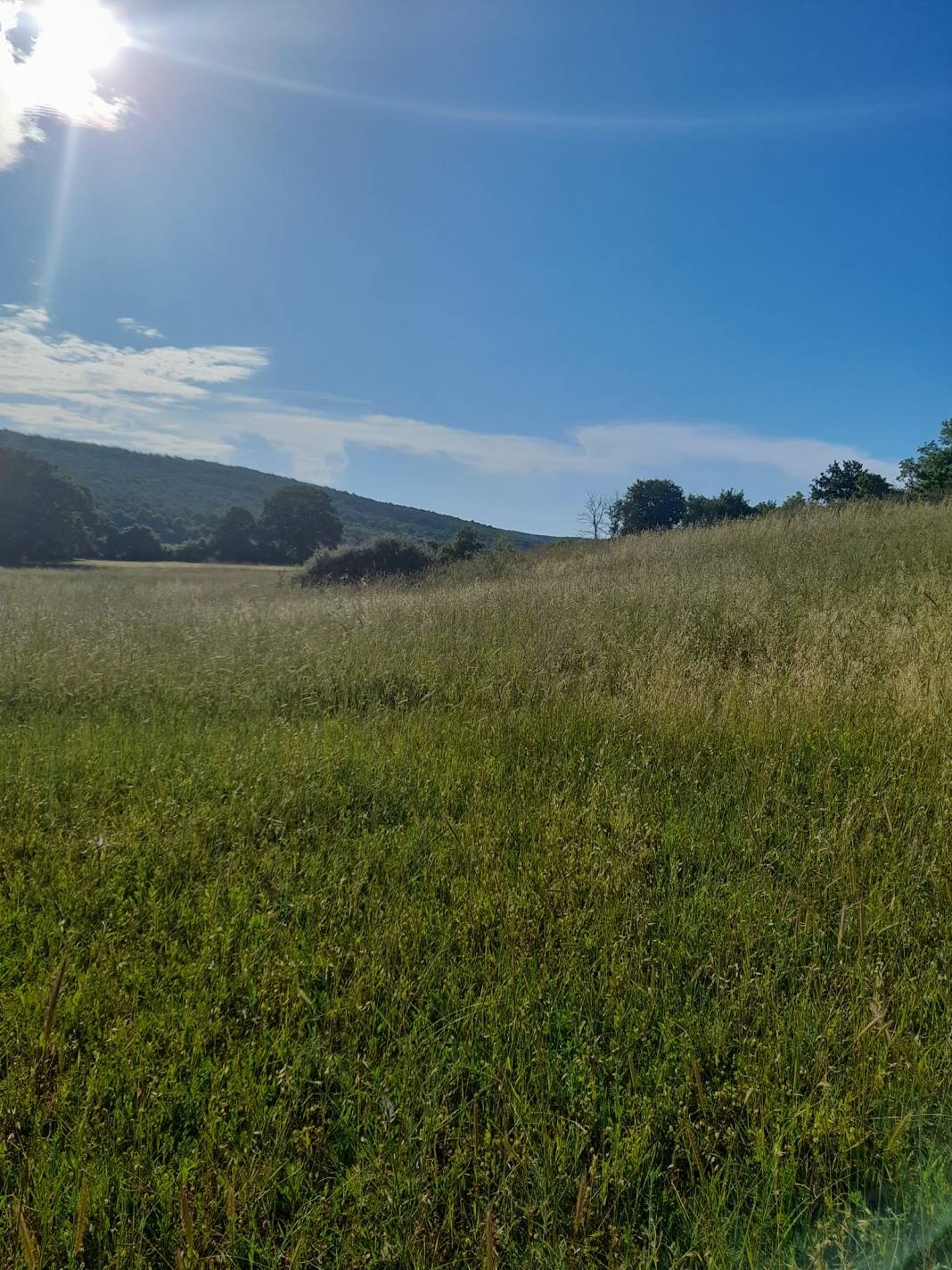 Çatalca Celepköy Köyü Resimleri 12