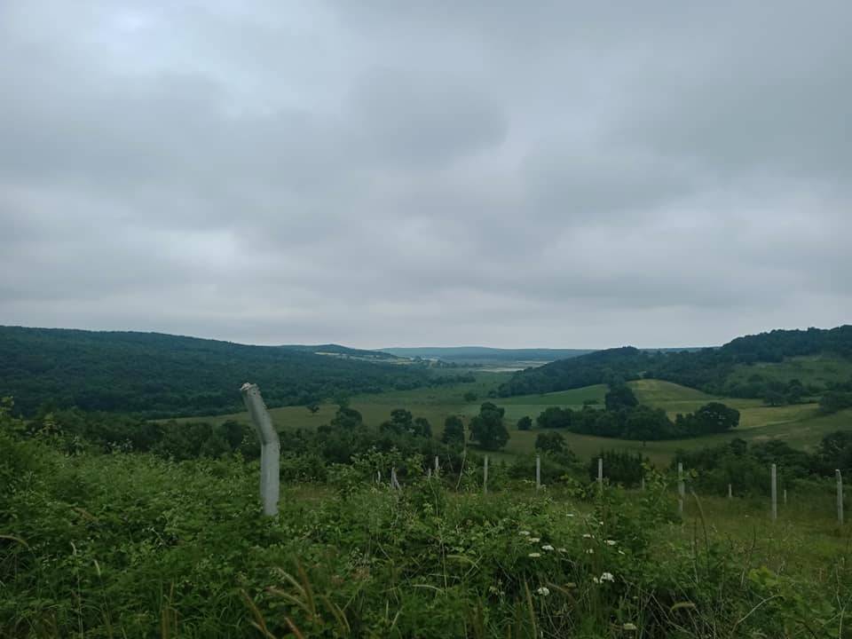 Çatalca Celepköy Köyü Resimleri 3