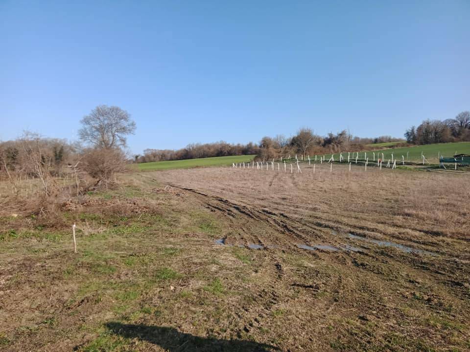 Çatalca Celepköy Köyü Resimleri 7