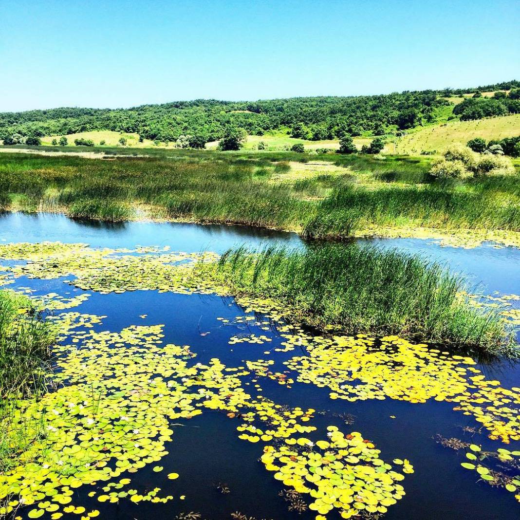 Çatalca Celepköy Köyü Resimleri 9