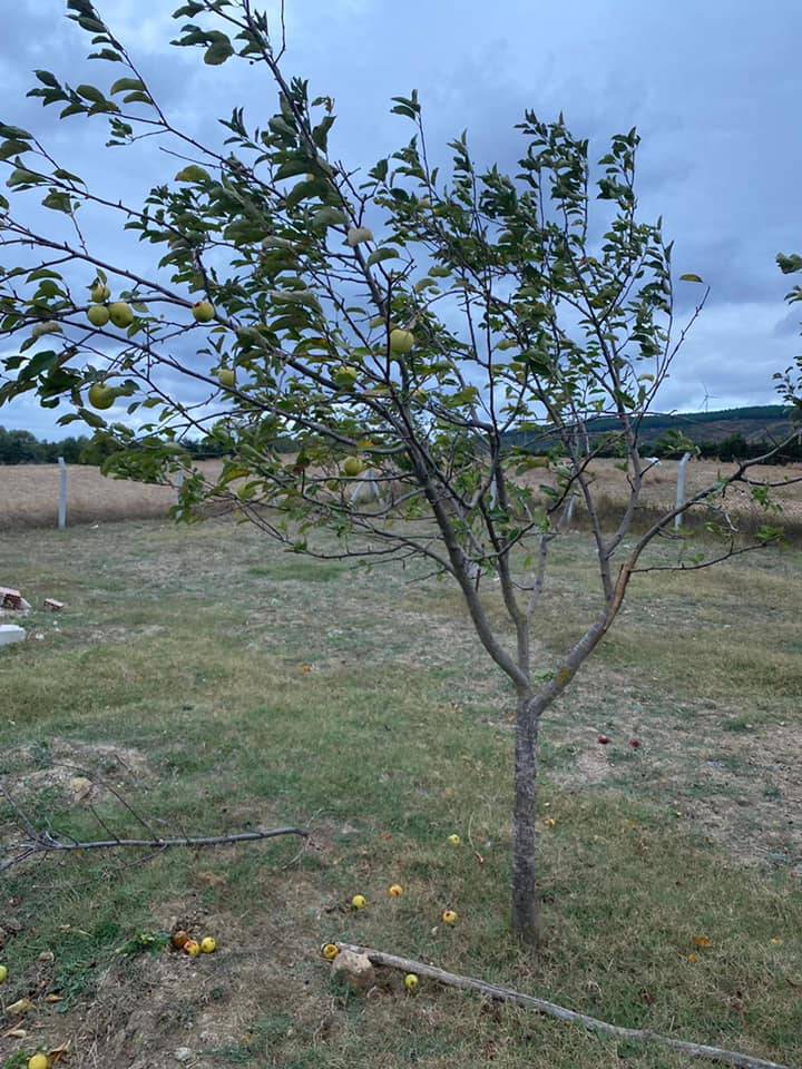 Çatalca Çakıl Köyü Resimleri 10