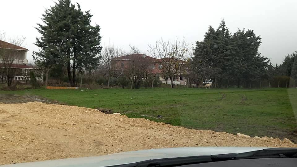 Çatalca Çakıl Köyü Resimleri 12