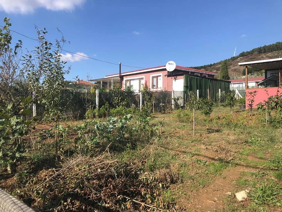 Çatalca Çakıl Köyü Resimleri 19