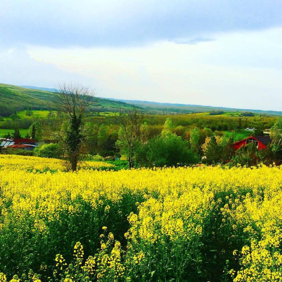 Çatalca Çiftlikköy Köyü Resimleri 15