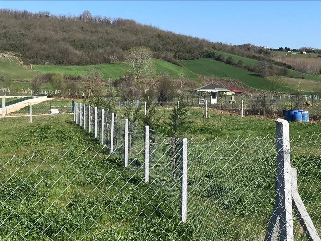 Çatalca Çiftlikköy Köyü Resimleri 16