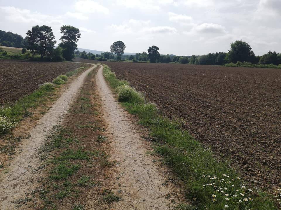 Çatalca Çiftlikköy Köyü Resimleri 4