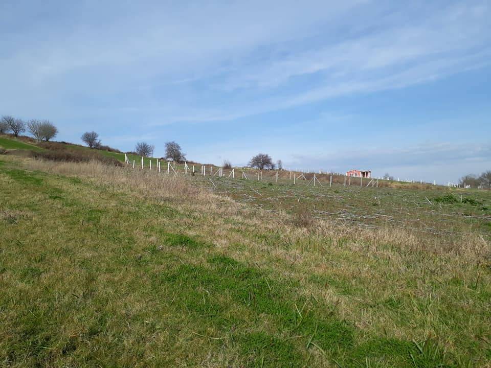 Çatalca Çiftlikköy Köyü Resimleri 5