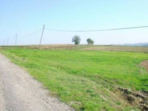 Çatalca Çiftlikköy Köyü Resimleri 9