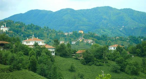 Pazar Elmalık Köyü Resimleri 1