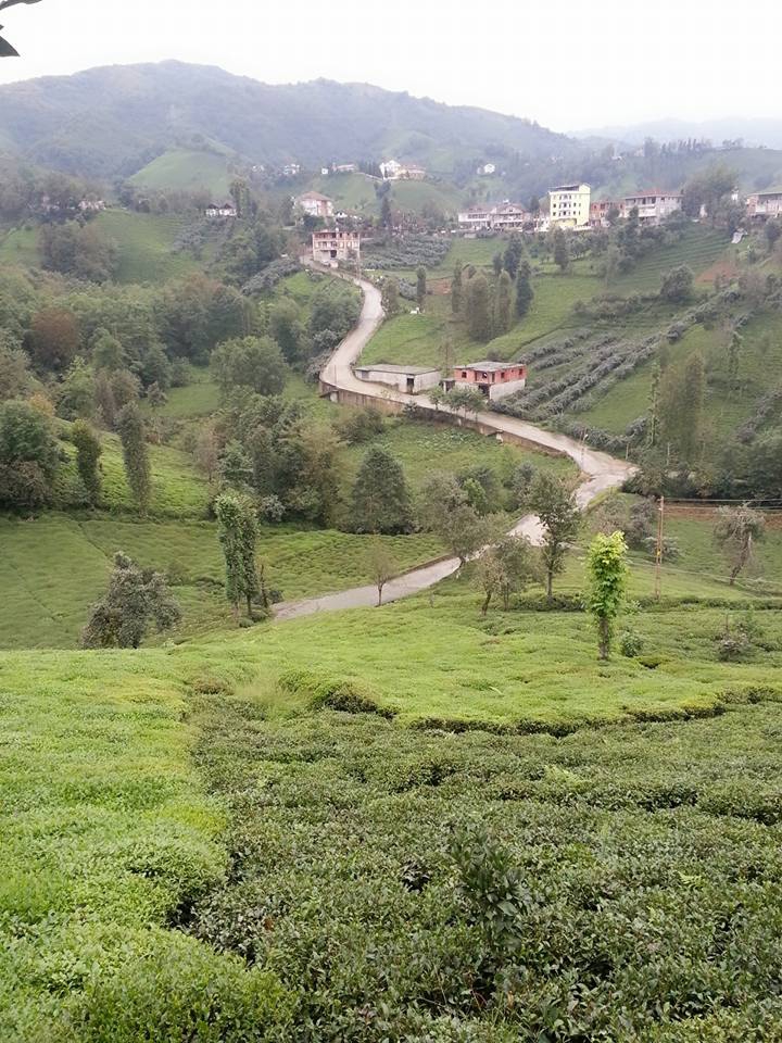 Pazar Elmalık Köyü Resimleri 10