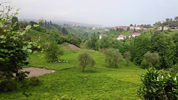 Pazar Elmalık Köyü Resimleri 2