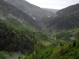 Pazar Elmalık Köyü Resimleri 3