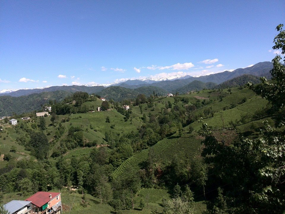 Pazar Elmalık Köyü Resimleri 5