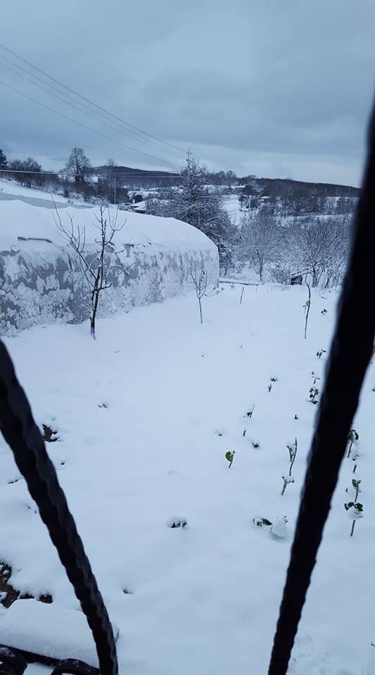 Pazar Elmalık Köyü Resimleri 8