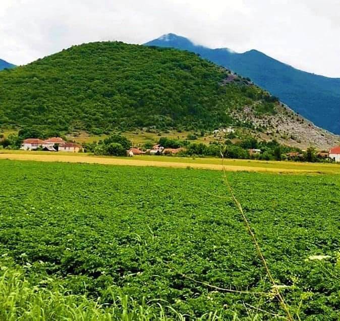 Çatalca Gökçeali Köyü Resimleri 12