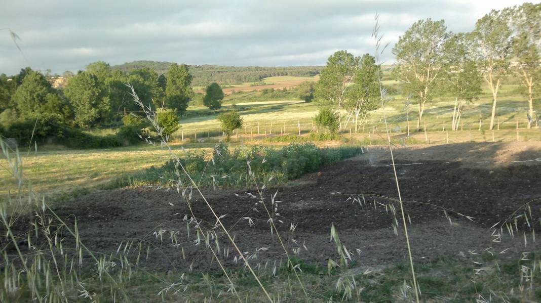 Çatalca Gökçeali Köyü Resimleri 13