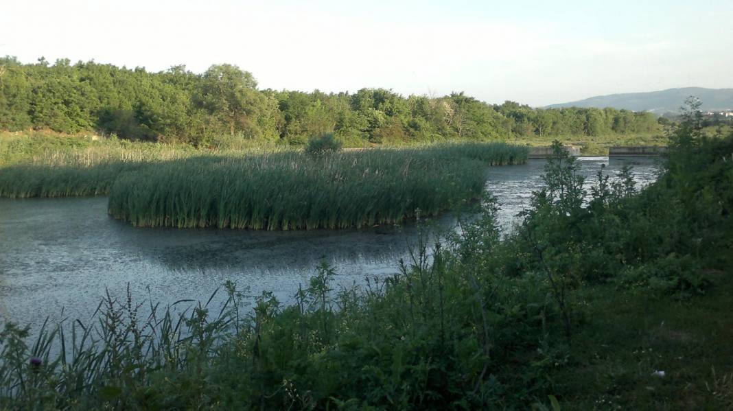 Çatalca Gökçeali Köyü Resimleri 19