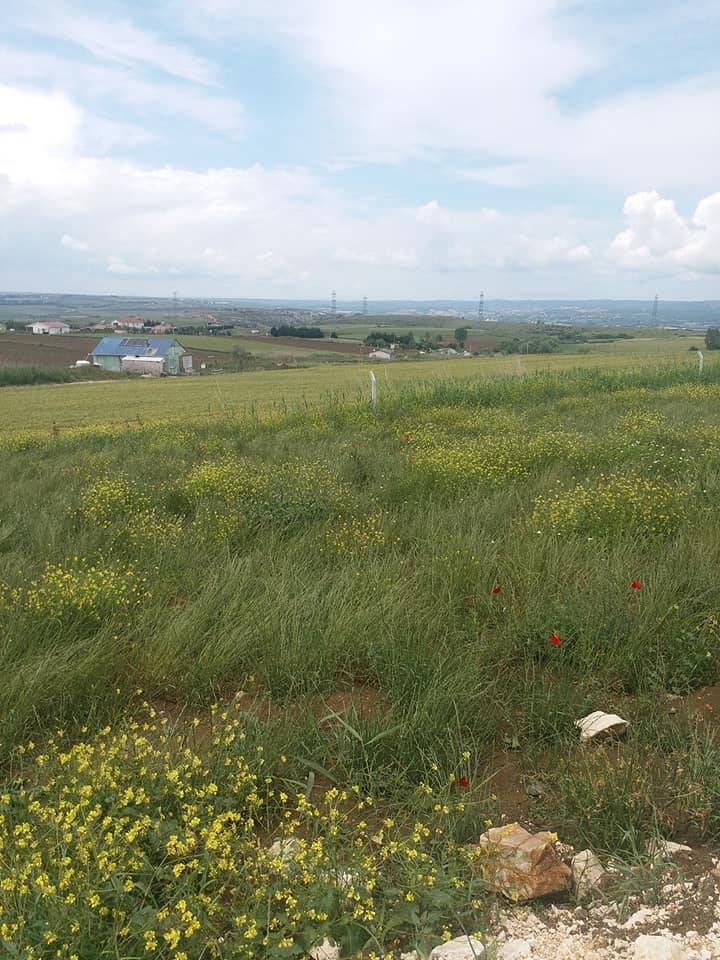 Çatalca İnceğiz Köyü Resimleri 14