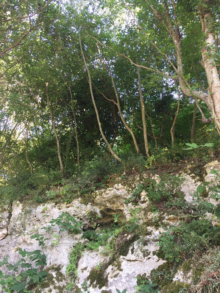 Çatalca İnceğiz Köyü Resimleri 6