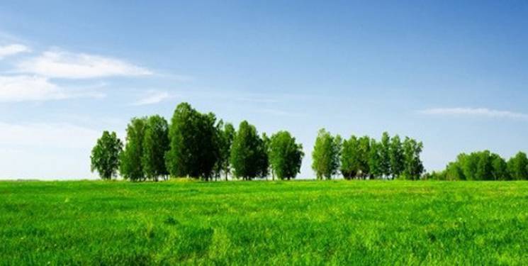 Çatalca İzzettin Köyü Resimleri 1