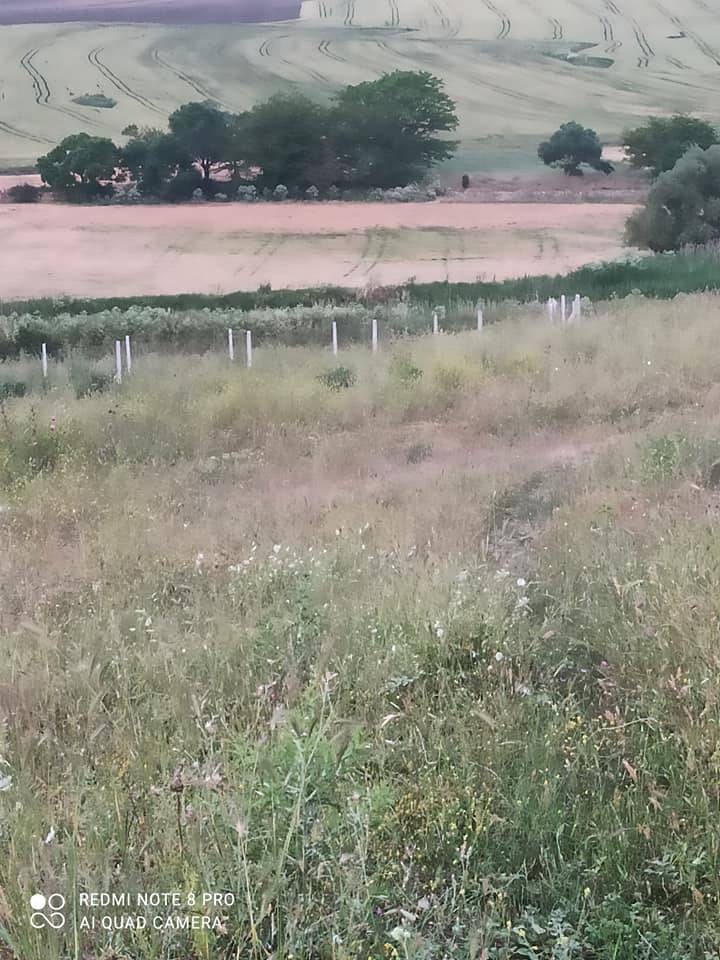 Çatalca İzzettin Köyü Resimleri 11