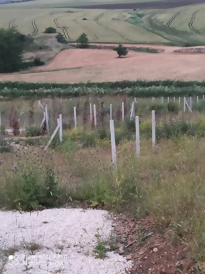 Çatalca İzzettin Köyü Resimleri 12