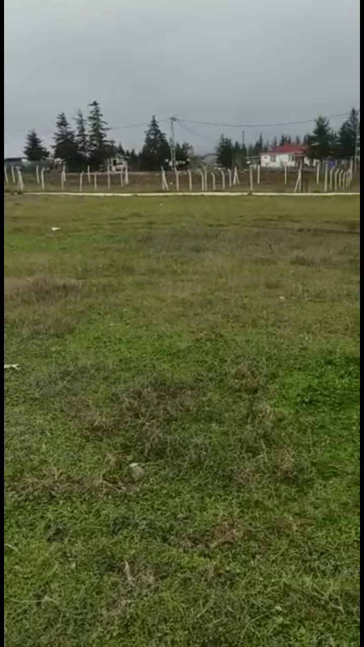 Çatalca İzzettin Köyü Resimleri 2