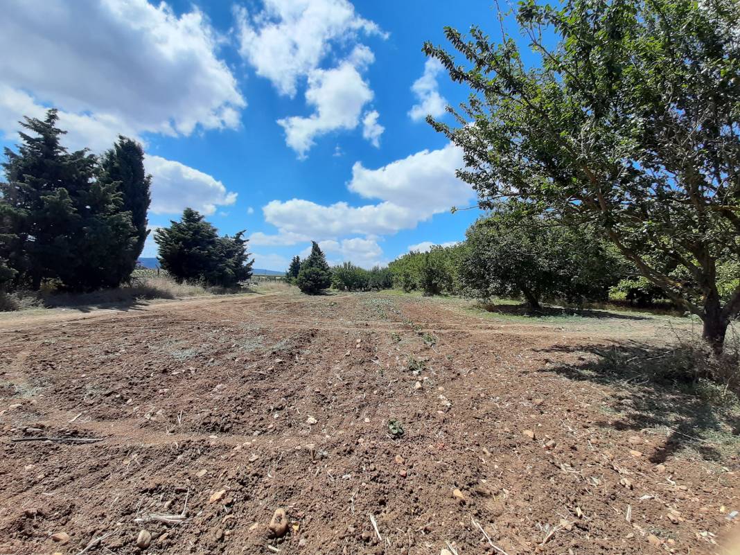 Çatalca İzzettin Köyü Resimleri 3