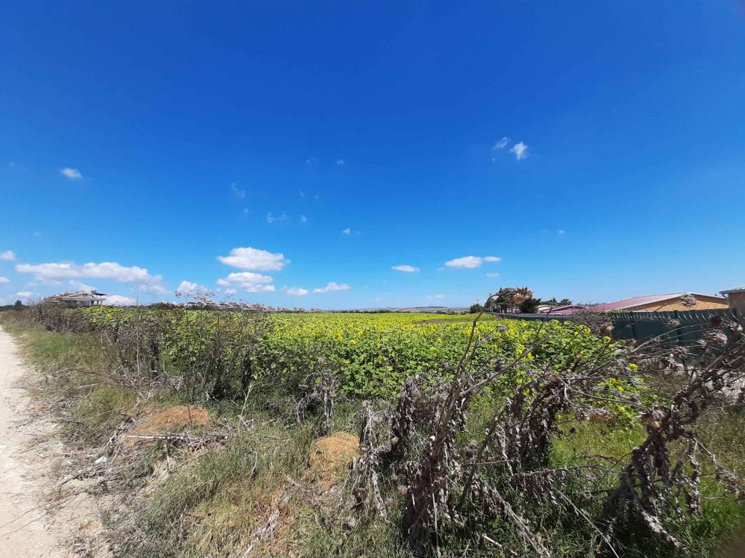 Çatalca İzzettin Köyü Resimleri 4