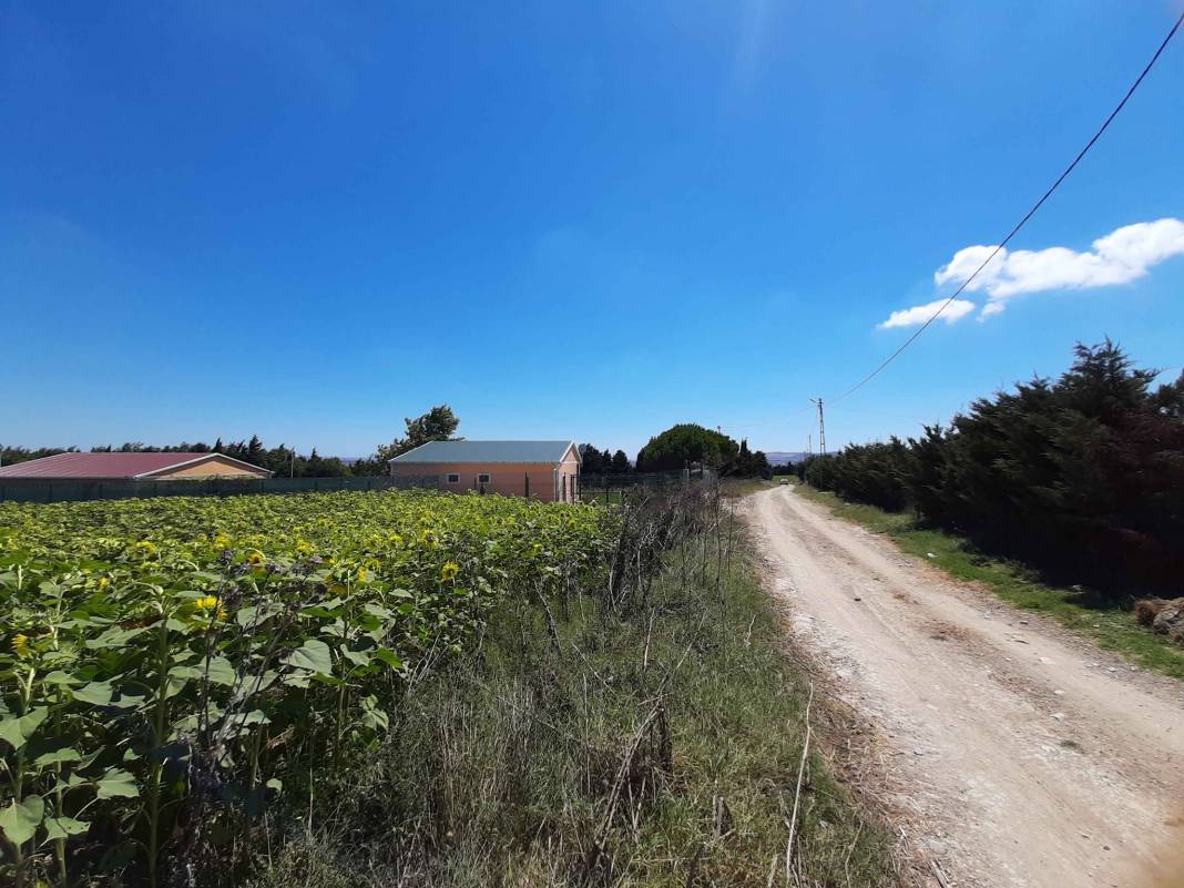 Çatalca İzzettin Köyü Resimleri 6