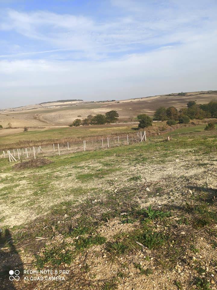 Çatalca İzzettin Köyü Resimleri 8