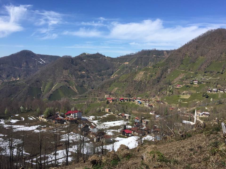 Pazar Güneyköy Köyü Resimleri 1
