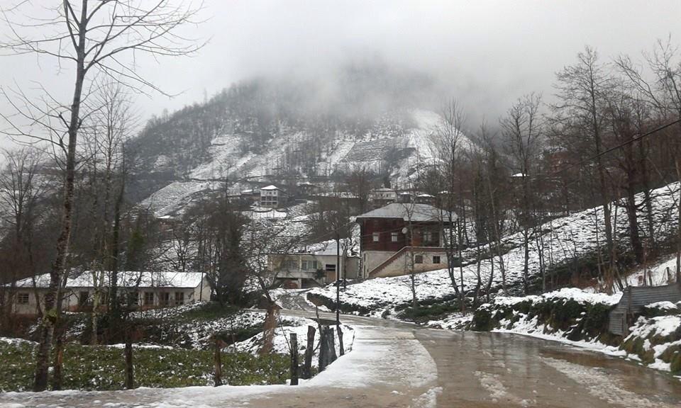 Pazar Güneyköy Köyü Resimleri 2