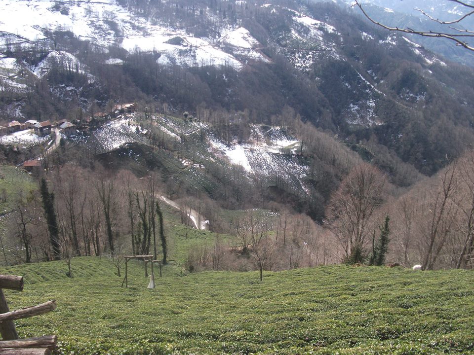 Pazar Güneyköy Köyü Resimleri 3
