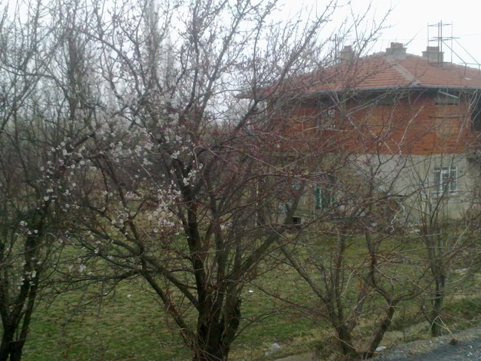 Afyon Çay Pınarkaya Köyü Resimleri 13