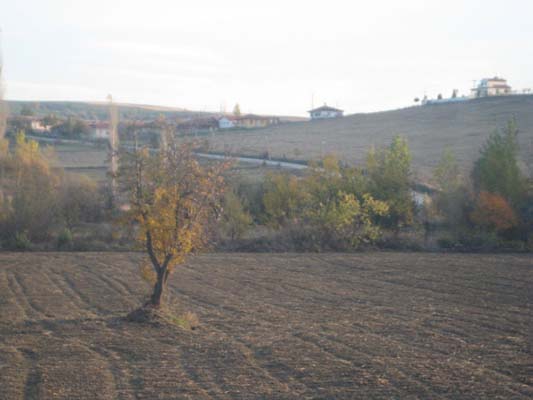 Çorum-Sungurlu Gökçam Köyü Resimleri 12