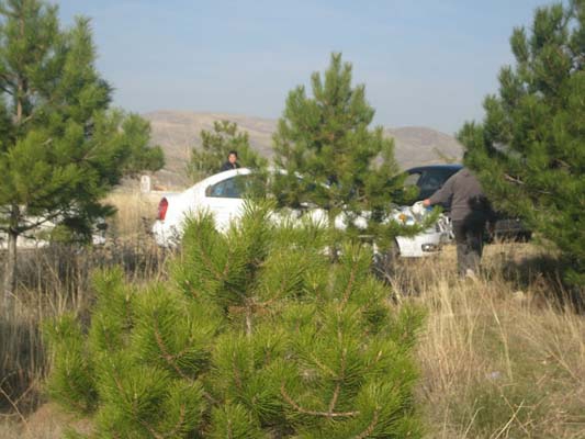 Çorum-Sungurlu Gökçam Köyü Resimleri 14